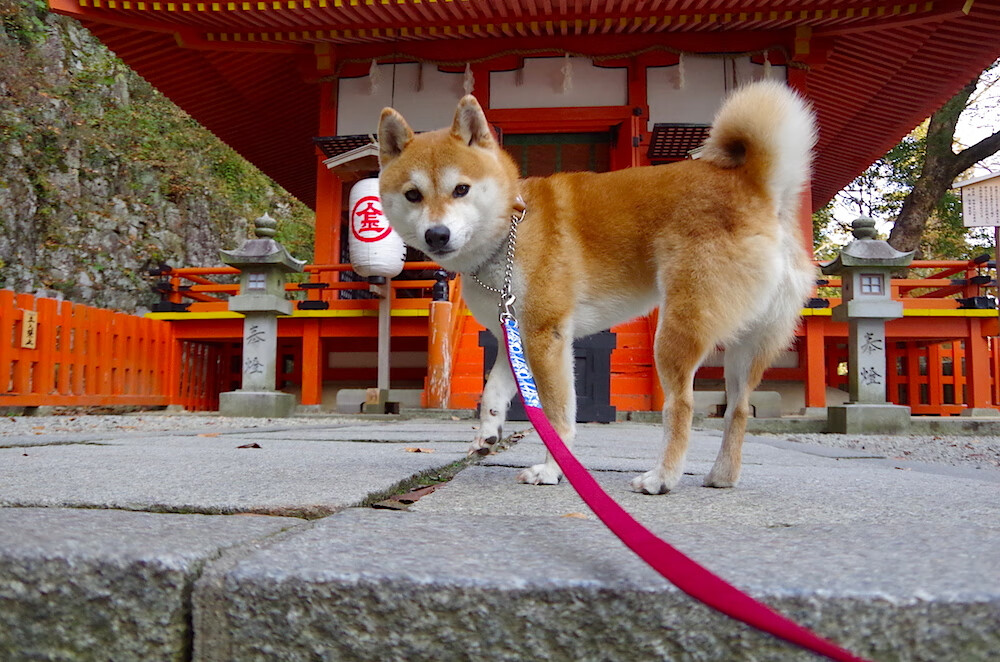 开云-_迈阿密大师赛：顶尖选手争夺冠军宝座_，2021迈阿密大师赛冠军