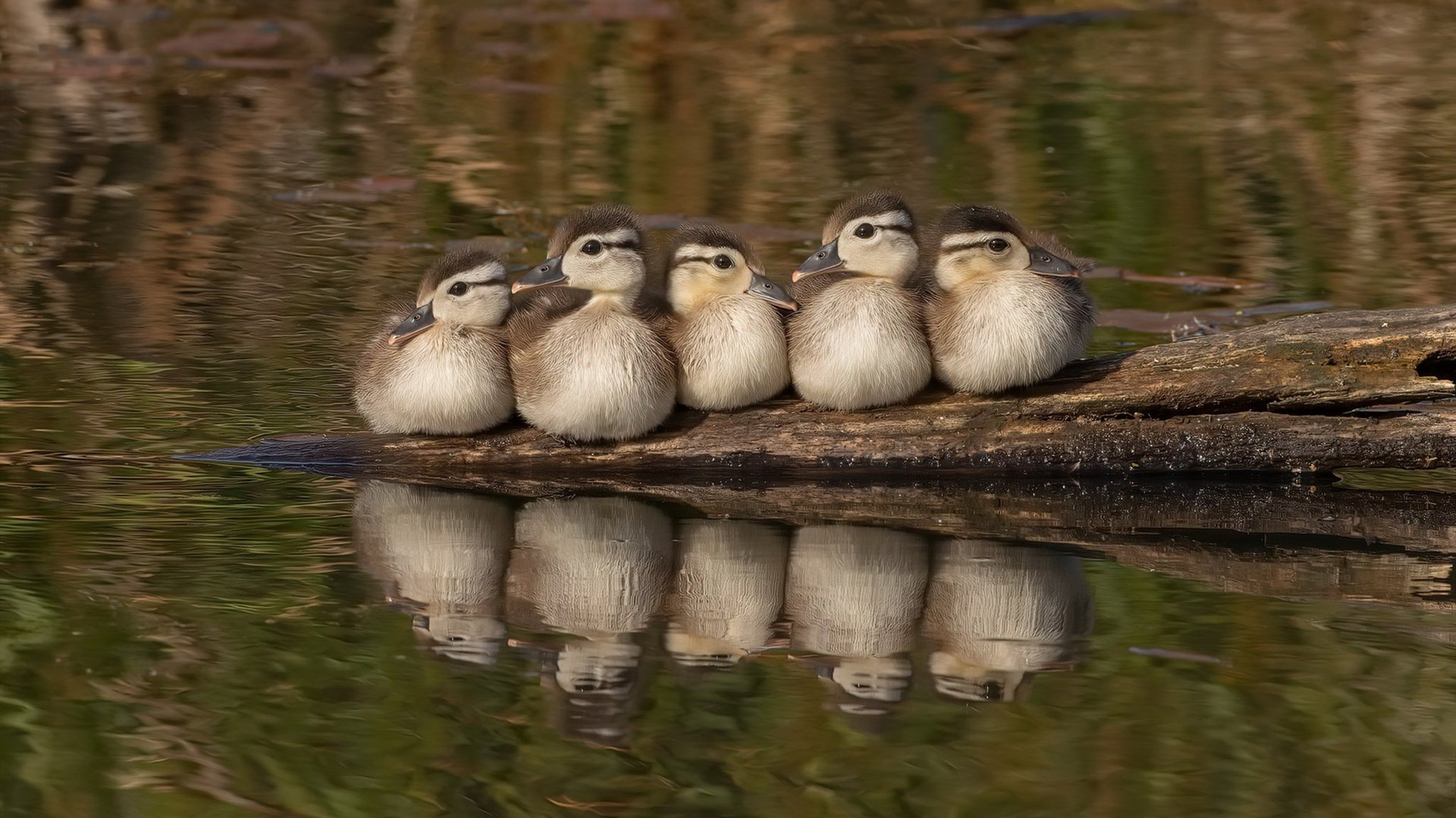 Kaiyun(中国)开云-《VR电竞体验：沉浸式比赛成为可能》，vr沉浸式体验是什么意思