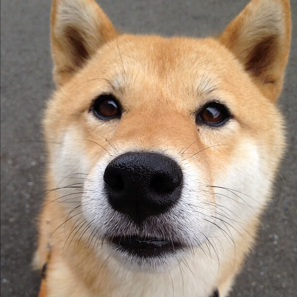 开云入口-《使命召唤》新地图上线：地形熟悉与点位掌握，使命召唤各种地图