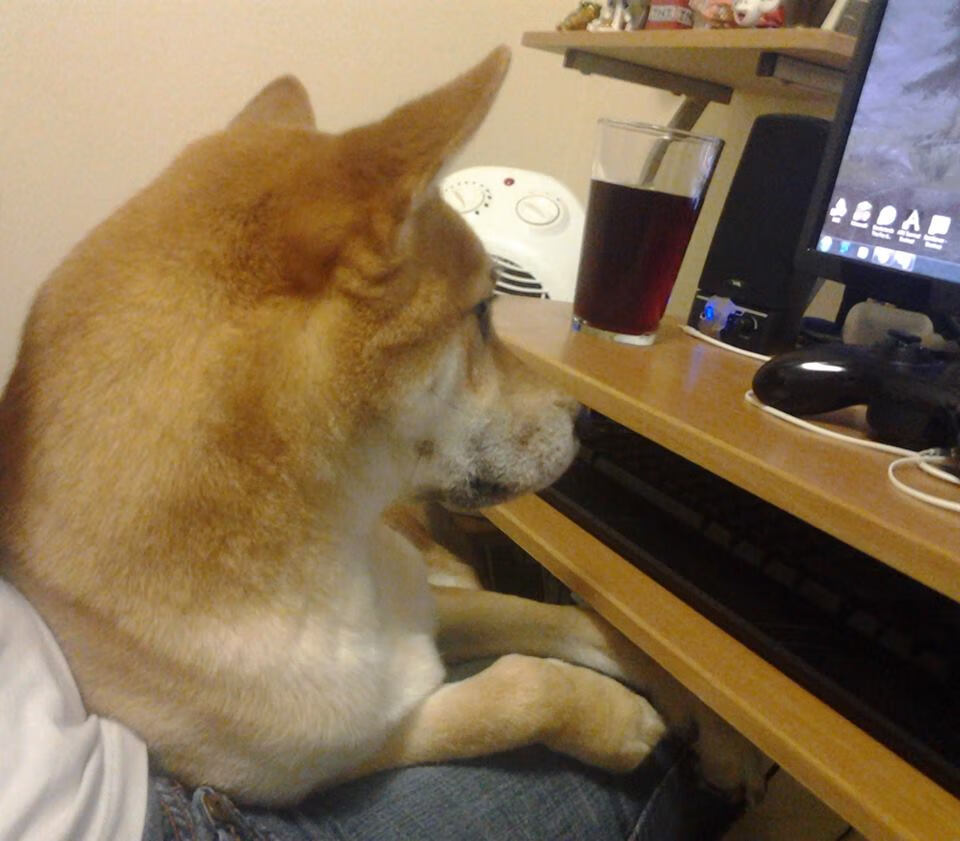 kaiyun官方入口登录-中国女篮备战奥运展现强劲势头，中国女篮奥运战况如何