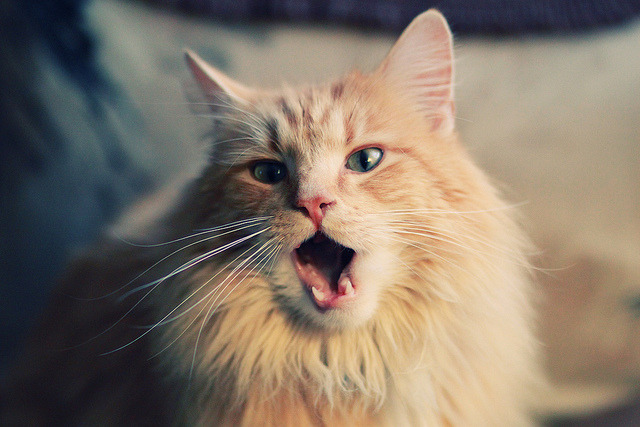 开云·Kaiyun网页版-AC米兰客场-战平国际米兰，双方互交白卷战局僵持，ac米兰 国际米兰关系