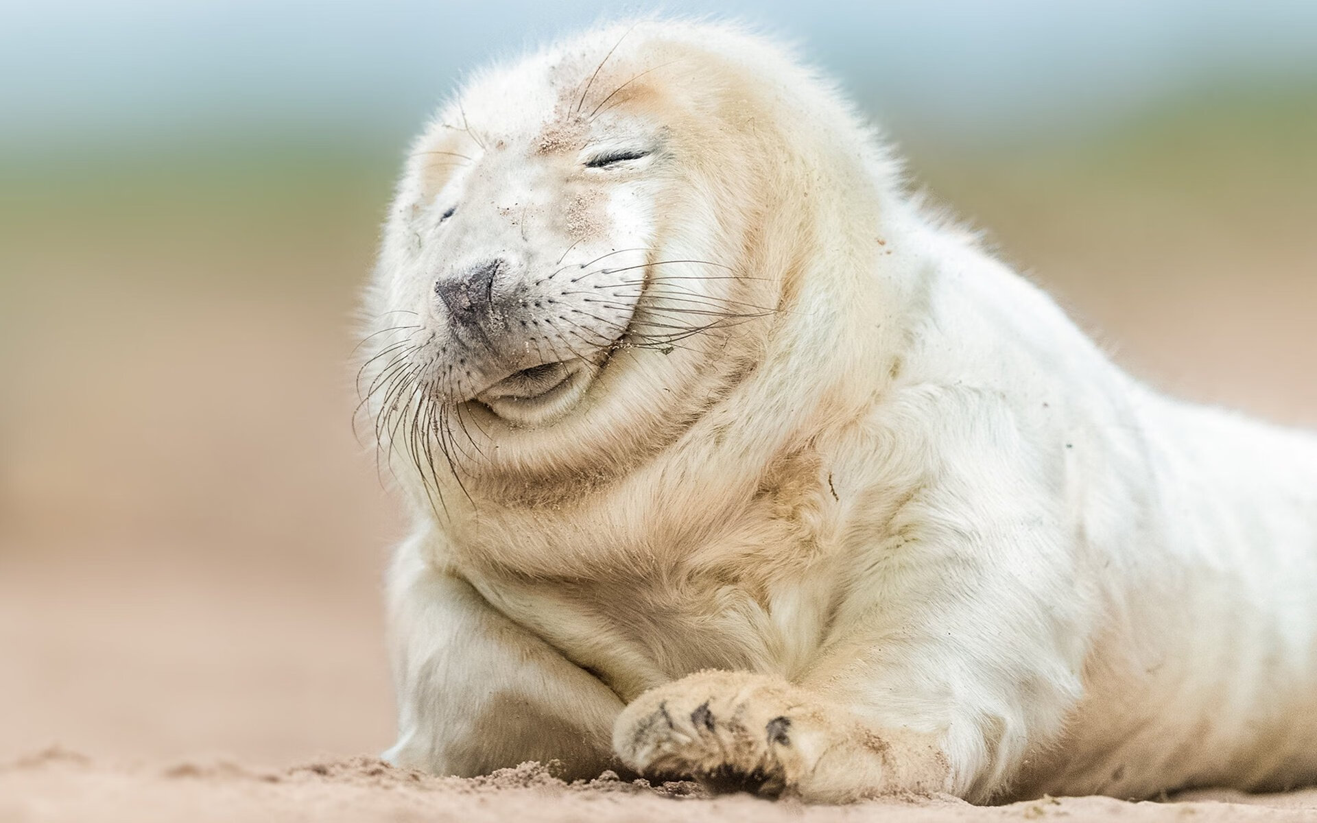 开云网页版-J联赛川崎前锋横滨水手备战亚冠，日职联川崎前锋和横滨水手