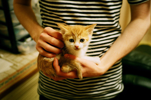 开云官方-意甲球队宣布将举办球迷互动日活动，意甲球迷数量排名