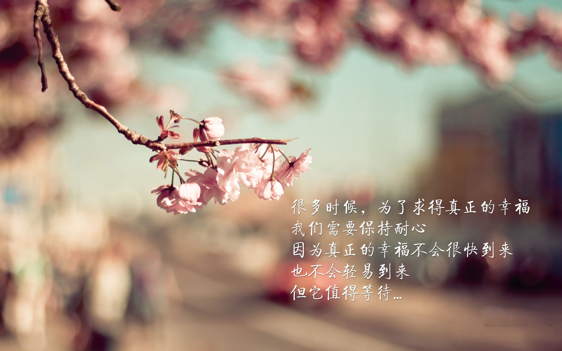 开云下载-葡萄牙体育新赛季展望，葡萄牙球队比赛