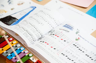 开云体育官方网入口-中小学体育课安全教育实施现状研究，体育课堂安全背景下的小学体育课现状