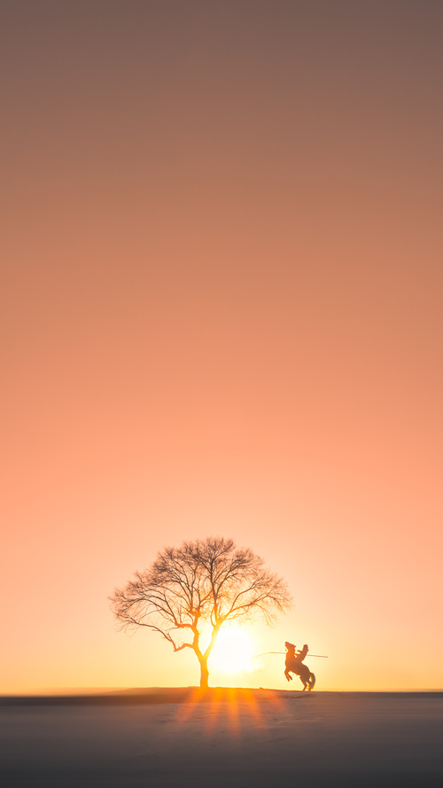 Kaiyun官方登录入口-“沙滩赛场迎来高水平对决，手球与合球同台竞技”