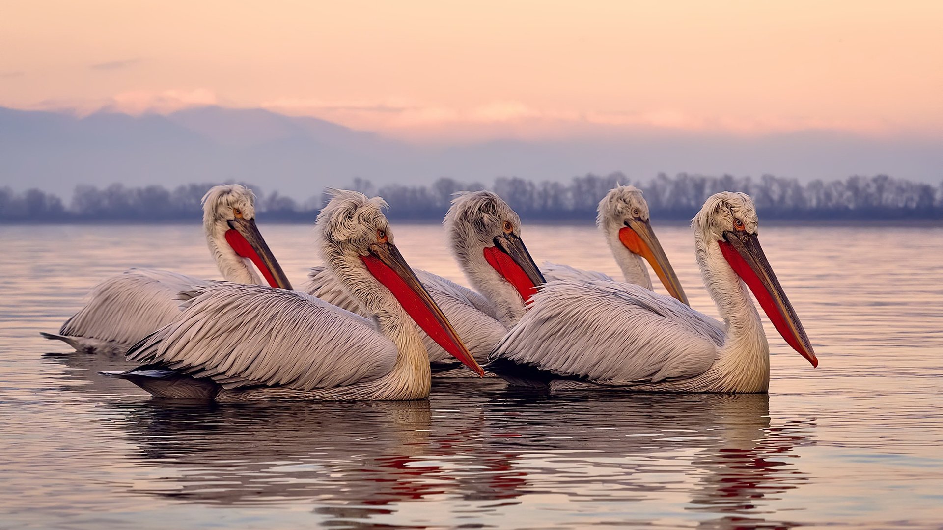开云网页版-体育志愿者表彰大会举行 讲述幕后故事，体育展示志愿者