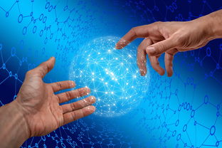 开云官网登录-德国仰泳项目技术稳定提升，德国仰泳项目技术稳定提升方案