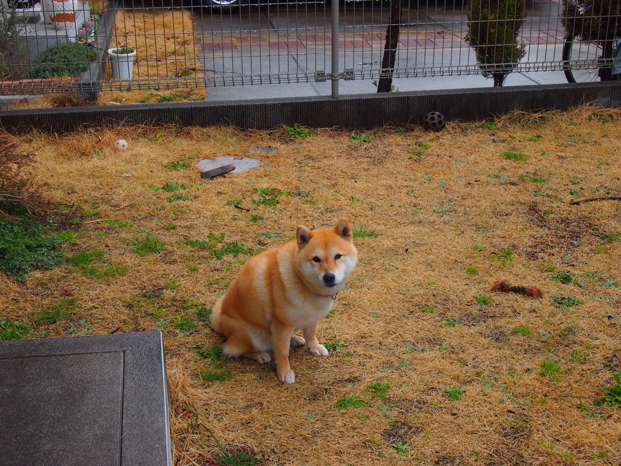 开云平台-中国篮球协会推动裁判考核平台上线提升管理效能，中国篮协裁判员管理条例暨实施细则