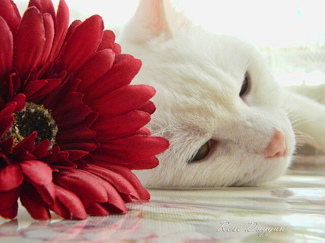 Kaiyun官方登录入口-中甲联赛球员平均年龄降低体现青训成果逐步显现，中甲球员平均年薪