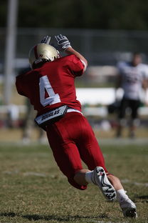 开云官网-校园足球支持学生裁判项目拓展多元职业通路，普通高校足球专业学生裁判能力的培养